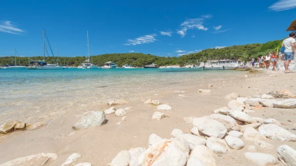 Excursion a Curno del Oro Excursion a Curno del Oro